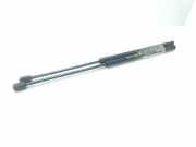 Gasdruckfedern Set Hinten 7L5823359B Volkswagen Touareg (7LA/7L6) SUV 2.5 TDI R5 (BAC) BAC