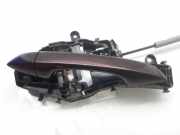 Türgriff Außen Links Hinten 3Q0035819A Volkswagen LIM. (3G2) BlueMotion 120 CV / 88 KW