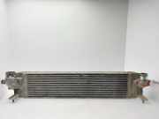 Ladeluftkühler 14461JG70C Nissan X-Trail (T31) SUV 2.0 SE,LE dCi 16V 4x4 (M9R-760)