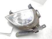 Nebelscheinwerfer Links Vorne 922013J000 Hyundai iX55 SUV 3.0 CRDI V6 24V (D6EA)
