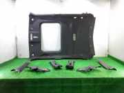 Verkleidung Himmel 739B0HM94D Nissan Juke (F15) SUV 1.5 dCi (K9K-896(Euro 5))