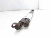 Gasdruckfedern Set Hinten 1150277 Ford BERLINA (CAK) Ambiente 75 CV / 55 KW