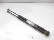 Gasdruckfedern Set Hinten 128513 Ford BERLINA (CAK) Ambiente 75 CV / 55 KW