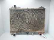 Radiator 1770067J00000 Suzuki Grand Vitara II (JT) SUV 1.9 DDiS (F9Q)