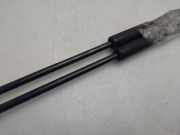 Gasdruckfeder Set Vorne 7L6823359B Volkswagen Touareg (7LA/7L6) SUV 2.5 TDI R5 (BAC) BAC