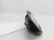 Türgriff Innen Rechts Hinten 806700005R Renault Laguna III (BT) Schrägheck 5-drs 2.0 dCi 16V 130 (M9R-744)