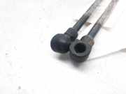 Gasdruckfedern Set Hinten 7700800311 Renault Clio (B/C57/357/557/577) Schrägheck 1.2 RL,RN,RT (E5F-710)