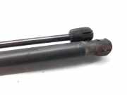 Gasdruckfedern Set Hinten 9649587680 Peugeot 1007 (KM) Schrägheck 3-drs 1.4 HDI (DV4TD(8HZ))