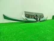 Grill 9628691277 Peugeot 206 (2A/C/H/J/S) Schrägheck 1.1 XN,XR (TU1JP(HFZ))