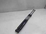 Gasdruckfedern Set Hinten 5G6827550C Volkswagen GOLF VII LIM. Edition BlueMotion Tech. 110 CV / 81 KW