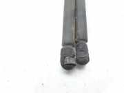 Gasdruckfedern Set Hinten 09114311 Opel Corsa C (F08/68) Schrägheck 1.2 16V (Z12XE)