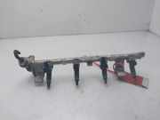 Einspritzdüsen Düsenstock 2N1U9H487BB Ford FOCUS BERLINA (CAK) Trend 101 CV / 74 KW
