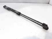 Gasdruckfedern Set Hinten ML5391 Citroën CITROEN BERLINA 2.0 HDi X 107 CV / 79 KW