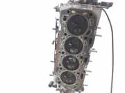 Zylinderkopf 55193091 Fiat Bravo (198A) Schrägheck 1.9 JTD Multijet (192.A.8000)