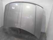 Motorhaube 55076470AE Jeep Grand Cherokee (WG/WJ) SUV 3.1 TDI (665.921)