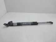 Gasdruckfedern Set Hinten EG2163620D Mazda CX-7 SUV 2.2 MZR-CD 16V (R2)