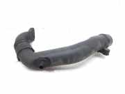 Schlauch 8200795490 Renault Megane III Berline (BZ) Schrägheck 5-drs 1.9 dCi (F9Q-872(F9Q-P8))