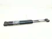 Gasdruckfedern Set Hinten 8200119497 Renault II CLASSIC BERLINA Expression 113 CV / 83 KW