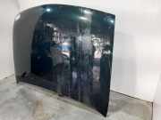 Motorhaube 1014869 Ford Fiesta 4 Schrägheck 1.25 16V (DHA)