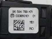 Warnleuchte Schalter 96594789KR Citroën C5 III Berline (RD) Schrägheck 3.0 HDiF V6 24V (DT20C(X8Z))