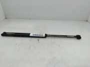 Gasdruckfedern Set Hinten 9649587680 Peugeot 1007 (KM) Schrägheck 3-drs 1.4 HDI (DV4TD(8HZ))