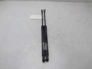 Gasdruckfedern Set Hinten 689500D022 Toyota Yaris II (P9) Schrägheck 1.4 D-4D (1NDTV)