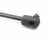 Gasdruckfeder Set Vorne 08610400 Citroën CITROEN XSARA BERLINA 1.6i 16V SX 109 CV / 80 KW