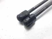 Gasdruckfedern Set Hinten 1620529 Hyundai (TB) *