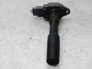 Zündspule 224332428R Dacia SANDERO Stepway Comfort 90 CV / 66 KW