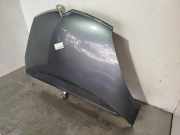 Motorhaube 7901N7 Citroën C4 Grand Picasso (UA) Großraumlimousine 1.6 HDiF 16V 110 (DV6TED4(9HZ))