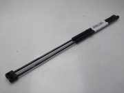 Gasdruckfedern Set Hinten 8731E3 Citroën CITROEN XSARA BERLINA 1.9D Premier 69 CV / 51 KW