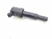 Zündspule 2730103110 Hyundai i20 Coupe Schrägheck 3-drs 1.2i 16V (G4LA)