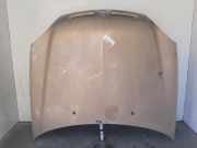 Motorhaube 7901J1 Citroën Xsara (N1) Schrägheck 2.0 HDi 90 (DW10TD(RHY))