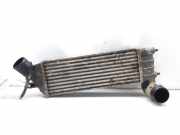 Ladeluftkühler 1489396080 Fiat Ulysse (179) Großraumlimousine 2.2 JTD 16V (DW12TED4(4HW))