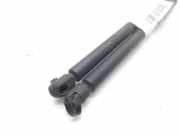 Gasdruckfedern Set Hinten 6714DA Rover 25 Schrägheck 2.0 iDT (20T2N)