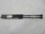 Gasdruckfedern Set Hinten 654706489R Renault Kangoo/Grand Kangoo (KW) Großraumlimousine 1.5 dCi 90 FAP (K9K-608(K9K-B6))