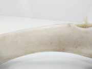 Scheibenwaschbehälter 7701707046 Renault Megane (BA) Schrägheck 5-drs 1.6i ,Easy (K7M-702)
