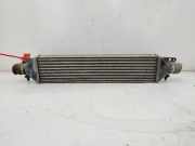 Ladeluftkühler 0051783791 Fiat Bravo (198A) Schrägheck 1.9 JTD Multijet (192.A.8000)