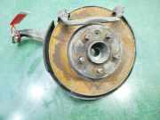 Achsschenkel Halter Links Vorne RUB500270 Land + Range Rover Discovery III (LAA/TAA) Geländewagen 2.7 TD V6 (276DT)