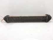 Ladeluftkühler A1695000000 Mercedes-Benz A (W169) Schrägheck 2.0 A-180 CDI 16_V (OM640.940)