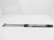 Gasdruckfedern Set Hinten AM51U406A10AE Ford Grand C-Max (DXA) Großraumlimousine 1.0 Ti-VCT EcoBoost 12V 125 (M1DA(Euro 5))