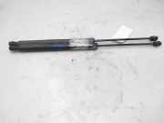 Gasdruckfedern Set Hinten A1699800864 Mercedes-Benz B (W245) Schrägheck 2.0 B-200 CDI 16V (OM640.941)