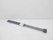 Gasdruckfedern Set Hinten 1150277 Ford FOCUS BERLINA (CAK) Ambiente 75 CV / 55 KW