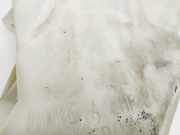 Scheibenwaschbehälter 9628747480 Peugeot 206 (2A/C/H/J/S) Schrägheck 1.9 D (DW8B(WJY))