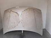 Motorhaube 7901G0 Citroën CITROEN BERLINGO 1.9 D SX Plus Familiar 69 CV / 51 KW