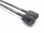 Gasdruckfedern Set Hinten 8185086G00000 Suzuki Ignis (MH) Schrägheck 1.3 DDiS 16V (Z13DT)