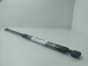 Gasdruckfeder Set Vorne 9630662480 Peugeot 406 (8B) Limousine 2.0 HDi 110 (DW10ATED(RHZ))