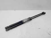 Gasdruckfedern Set Hinten 7700842256 Renault Clio II (BB/CB) Schrägheck 1.2 16V (D4F-712)