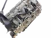Zylinderkopf 038103373R Seat Leon (1M1) Schrägheck 5-drs 1.9 TDI 100 (AXR)