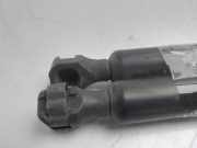 Gasdruckfedern Set Hinten 1489342080 Fiat Ulysse (179) Großraumlimousine 2.2 JTD 16V (DW12TED4(4HW))